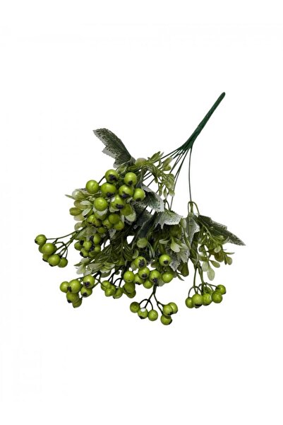 OEM Buchet Bobite Lacuite Cu Frunze Brumate Verde
