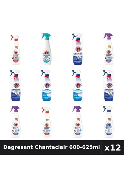 Chanteclair Set 12 Degresant Universal 600-625ml - 6 Arome Asortate Curatenie...
