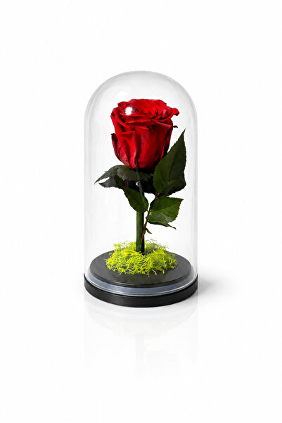 Rafal Bouquet of Eternal Roses Red Guri