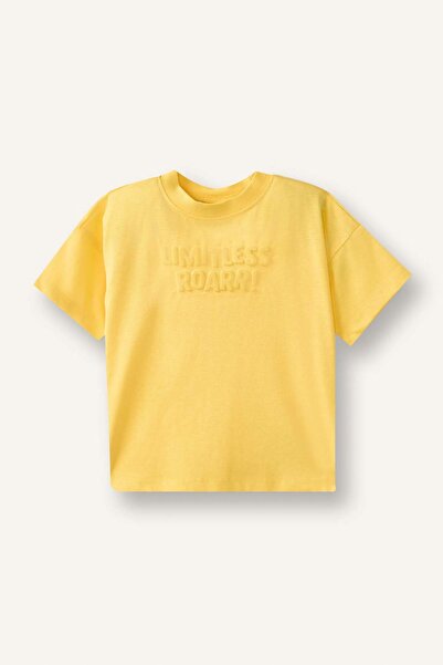 DeFacto Tricou cu mânecă scurtă cu model vultur, croială normală, antracit, p...