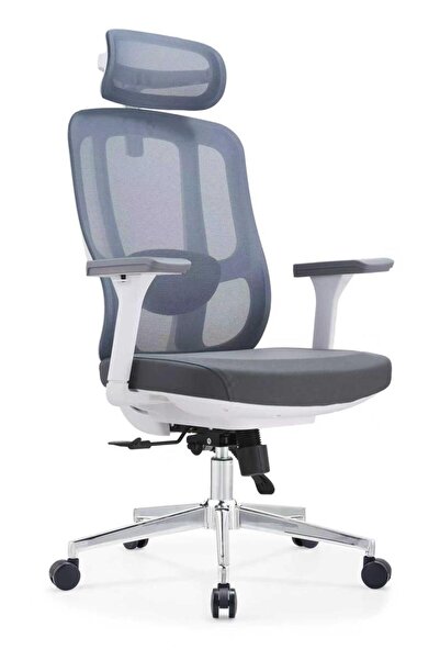 genernic Executive Office Chair with 3D Adjustable Armrests, Hydraulic Lift, ...