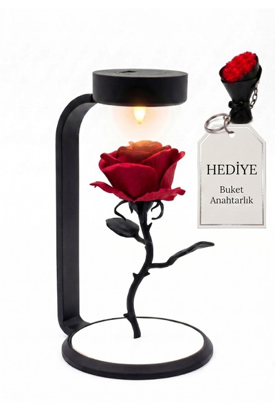 YS Yıldızhanstore Minimalist Dekoratif Işıklı Solmayan Kadife Gül - Doğum Gün...