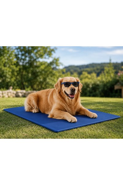 OEM Pet Cooling Mat 90x50 cm, Covor Racoritor pentru Caini, Gel Auto-Racire, Non Toxic, Reutilizabil, Albastru