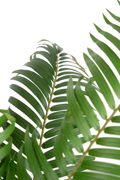 Roberto Rossi Palmier artificial H90cm Areca cu 525 frunze