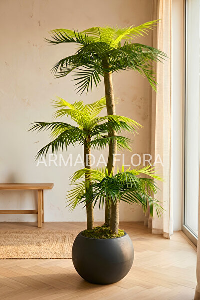 Armada Flora 170 cm 3 Gövdeli Premium Yapay Palmiye Küre Saksılı