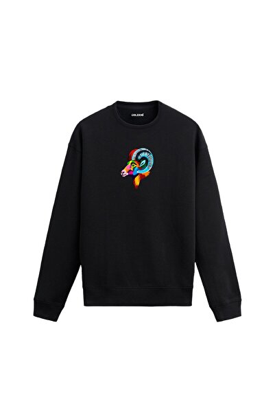 Colermi Colorful Ram Head Sweatshirt