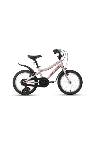 Carraro DINO KIZ ÇOCUK BİSİKLETİ 260H V 16 JANT TOZ PEMBE MOR