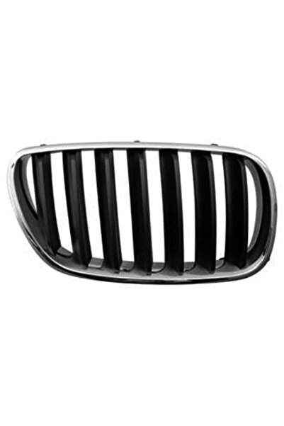 RapidAuto Grila radiator Bmw X3 (E83), 2006-11.2010, dreapta, crom/negru, 511...