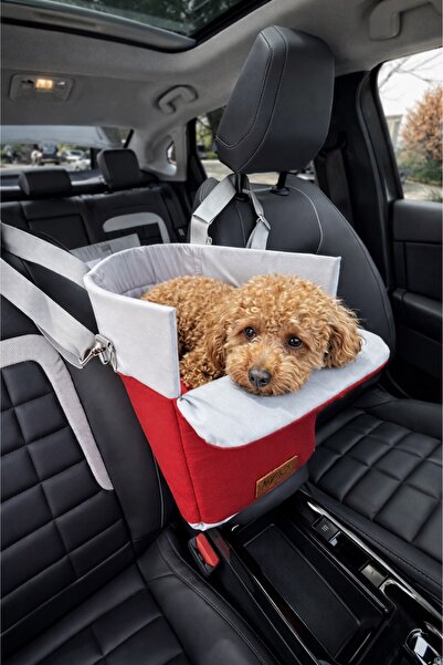 Reyo Max Design Kedi Köpek Taşıma Çantası Kırmızı – Seyahat için Hafif ve Hav...