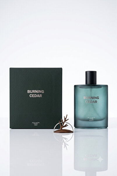 DeFacto Burning Cedar Erkek Parfüm 100 ml Kalıcı Odunsu Koku