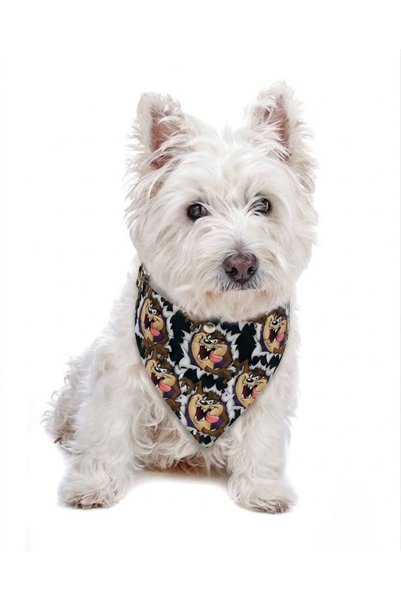 Angelapets Adjustable Scarf, Chest Harness and Travel Strap Set of 3