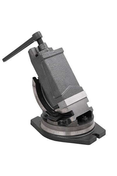 vidaxl Menghină înclinabilă, 2 axe, 100 mm