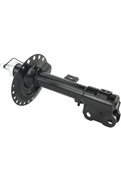 FEBEST amortizor 04110-005FR