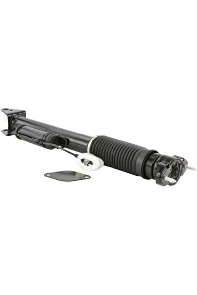 FEBEST amortizor 16110-001R