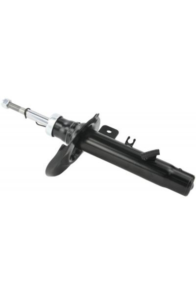 FEBEST amortizor 25110-010FR