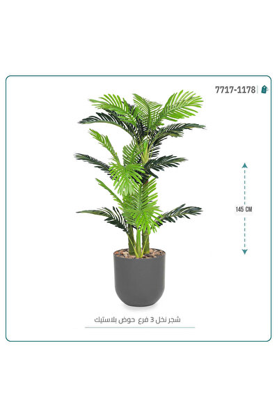 OEMS نخل أريكا صغير بمركن بلاستيك أسطواني { 3 فروع }