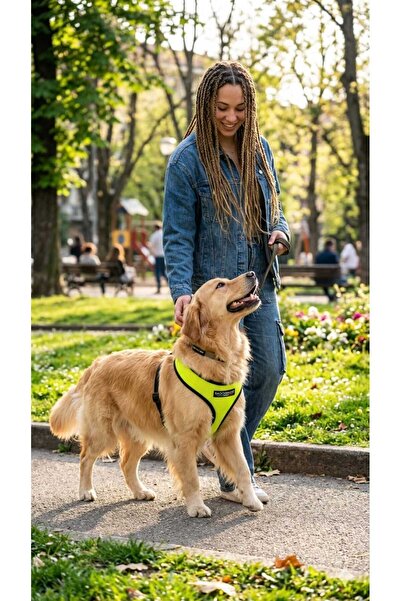 PATİZİSHOP Comfortable Pet Chest Harness Size m