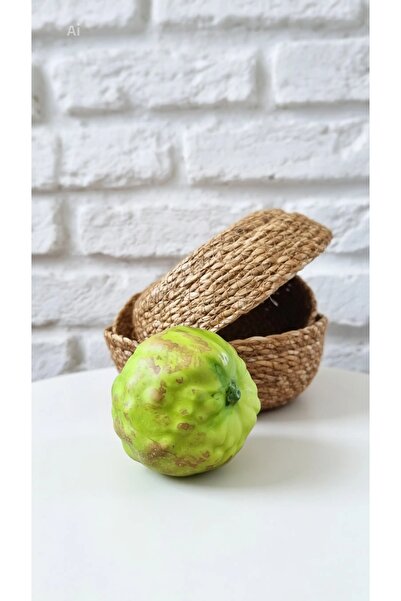 yapay meyve Annona cherimola 1 adet