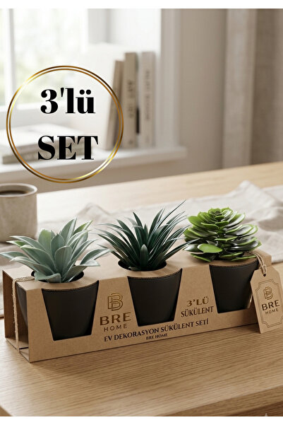 BRE HOME 3’lü yapay sukulent seti / saksılı masa üstü dekoratif bitki seti.