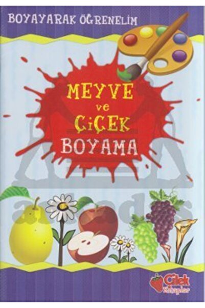 Çilek Kitaplar Fruit and flower painting