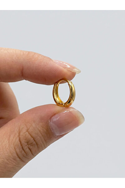 Topaloğlu 14 Ayar Sarı Altın Mini Oval Halka Küpe