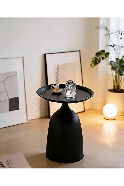 Shangxing Small End Table, Waterproof Metal Side Table with Black Tray Top fo...