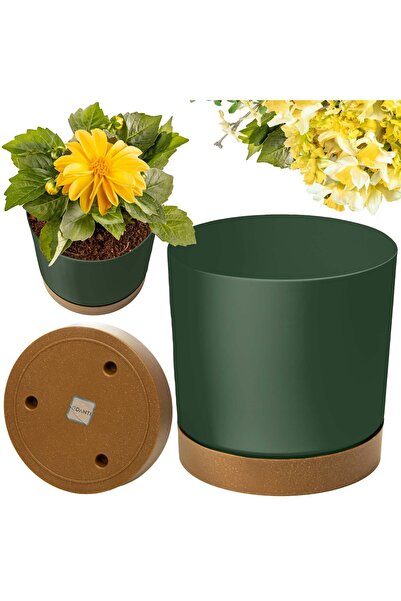 EDANTI Ghiveci de grădină 23,9 cm cu farfurie pentru casă, din plastic neted,...