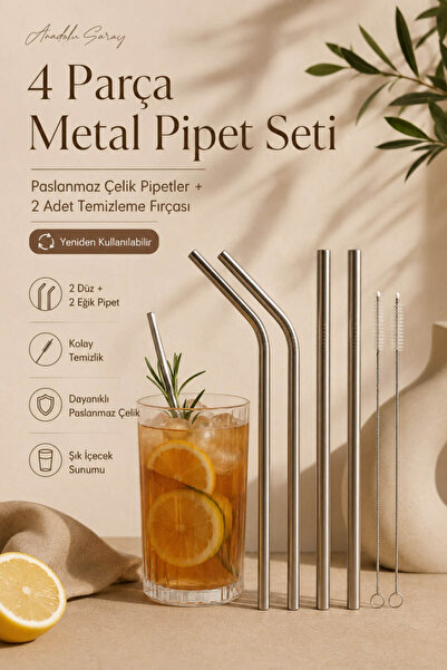Anadolu Saray 4 Parça Paslanmaz Çelik Metal Pipet Seti 2 Düz 2 Eğik + 2 Temiz...