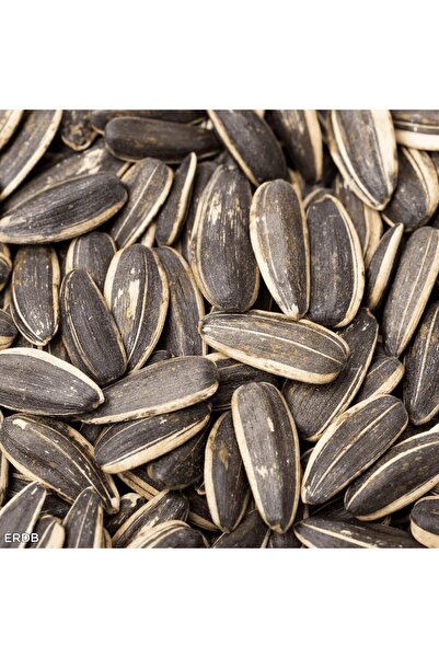 Royal Sunflower Seeds for Pets, Parrots and Birds, 500g