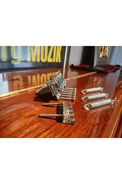 PUANDORG Stratocaster Elektro Gitar Tremolo Köprü Seti Krom