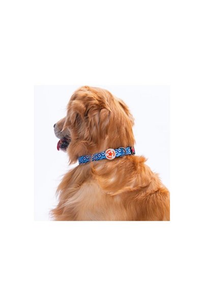 Empressco Colorful Evil Eye Bead Patterned Adjustable Dog Collar