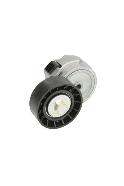DAYCO Intinzator, Curea Accesorii Iveco Daily Iii Rvi Mascott Renault Mascott...