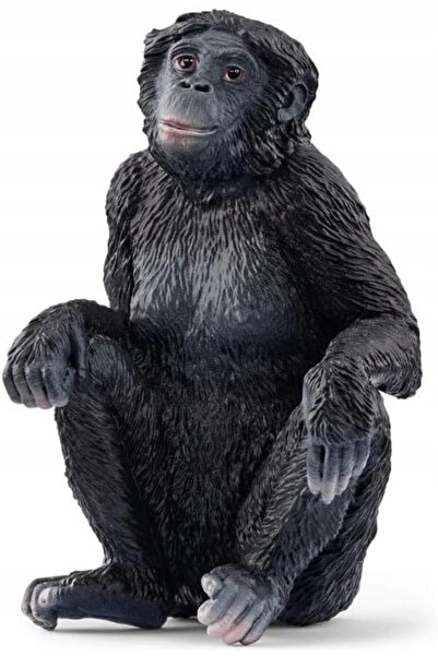Yıldızan SCHLEICH Bonobo, Oyuncak Figür 1302237