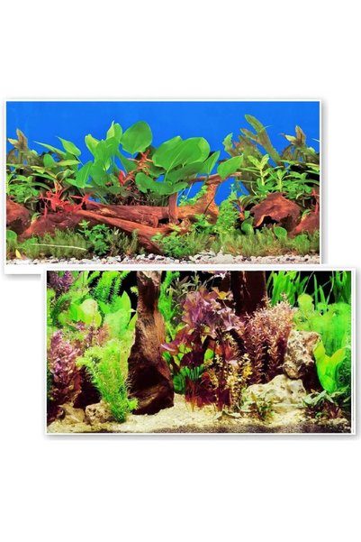 Ocean Free Background acvariu vegetatie luxurianta 100X50cm