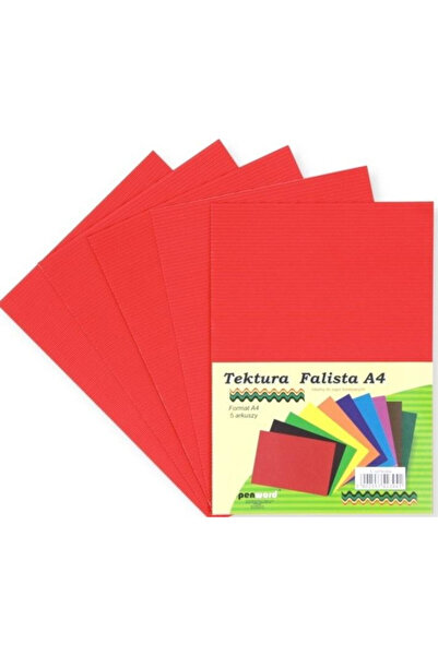PENWORD Carton ondulat set 5 foi multicolor 22x31cm