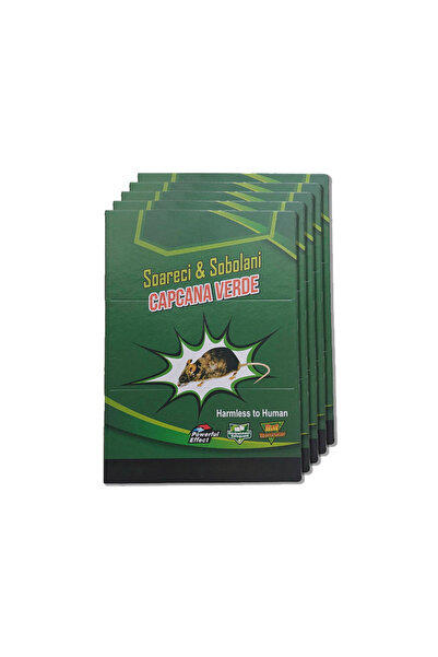YBOSHOP Set 10 capcane cu lipici pentru rozatoare, carton tip carte, non-toxi...
