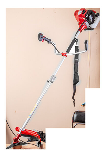 Raider Motocoasă cu lamă și sârmă, ax detașabil 2.2kW RD-GBC24, Raider, 075011
