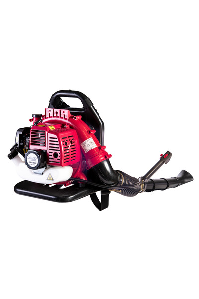 Raider Suflantă pe benzină tip rucsac 43cc 1.25kw RD-GB06, 077402