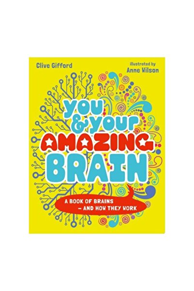 WORDS&PİCTURES You & Your Amazing Brain: A Book Of Brains And How(...)