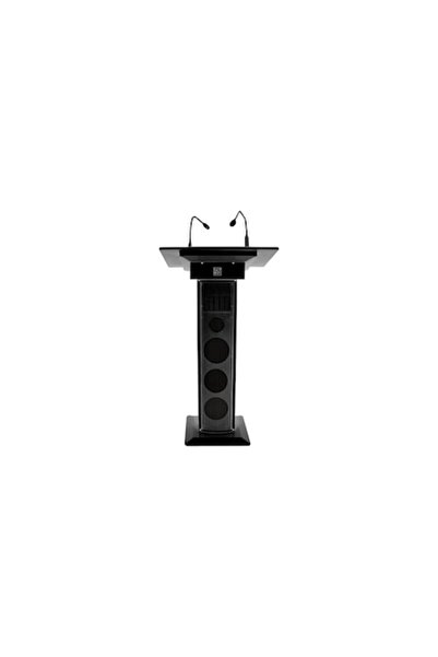 OEM Sistem audio + 2 microfoane wireless