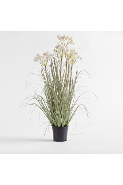 home&you Floral arrangement Travisi
