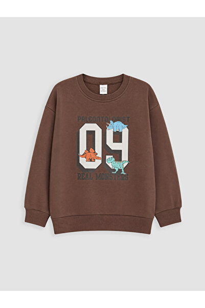 LC Waikiki Boy's Sweatshirt 2-Pack