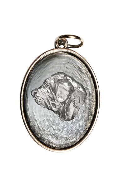 Art - Dog Colier pentru câini Fila Brasileiro de la Art-Dog