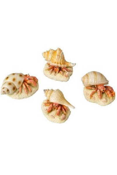 AQUA D'ELLA Hermit Crab for Aquariums 9.3x6x4.9cm