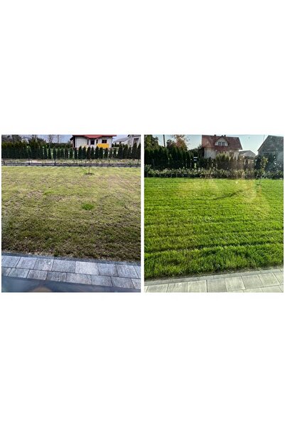 NO BRAND GRASS TYTAN amestec de semințe de iarbă PENTRU SOLURI UScate și difi...