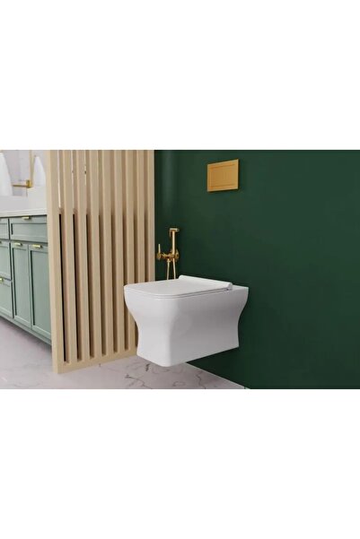 NO BRAND BIDET CADĂ DE BAIE BIDET CADĂ DE BAIE CU INSTALARE SUB MASA AERATOR ...