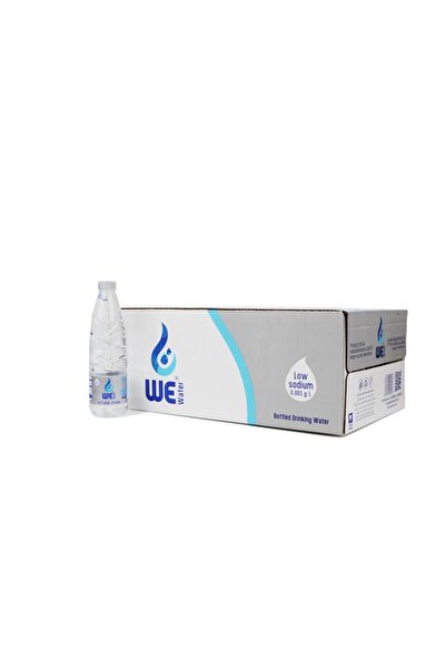 WE 600 ML (30 bottles)