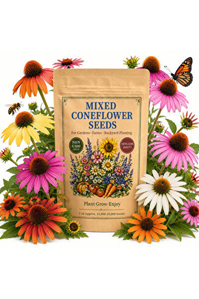 Bloom & Sow Seed بذور زهرة الكونيفلور (الإيتشيناسيا) متعددة الألوان - نباتات ...