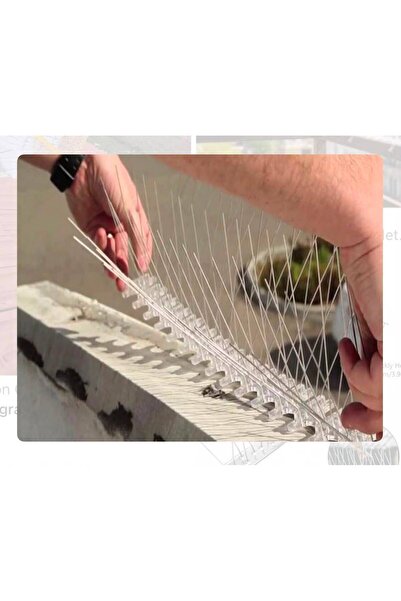 YDGR 50 Cm Şeffaf Plastik Kuşkonmaz kuşkovar - 1 adet