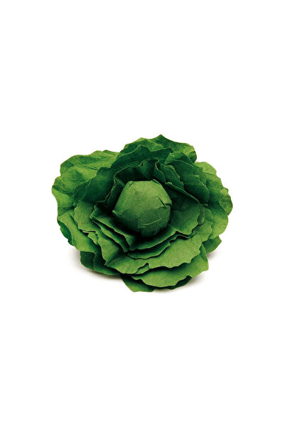 Erzi Cap de salată din lemn pentru joacă